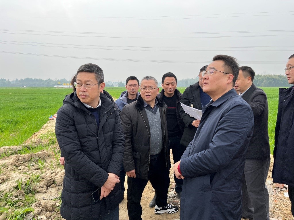 省社、省供投集團領(lǐng)導(dǎo)調(diào)研青白江區(qū)四川現(xiàn)代供銷種業(yè)園區(qū)