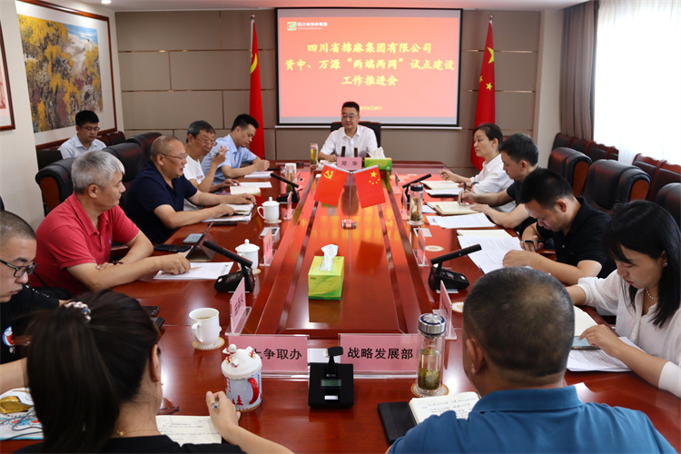 鄧華主持召開資中、萬源“兩端兩網(wǎng)”試點建設(shè)工作推進(jìn)會