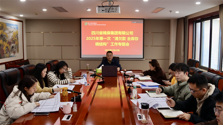 集團(tuán)公司召開2025年第一次“清欠款、去庫存、調(diào)結(jié)構(gòu)”工作專題會